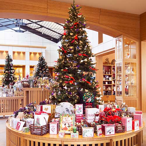 inside store with christmas tree and decorations