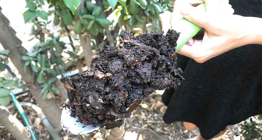 Soil with worms