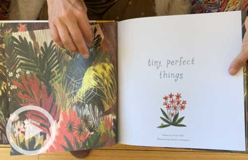 Opened Tiny, Perfect Things book