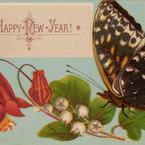 A greeting card illustration of a butterfly on a plant with berries and flowers.