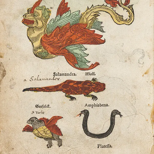 Detail fantastical animals in book from 1552