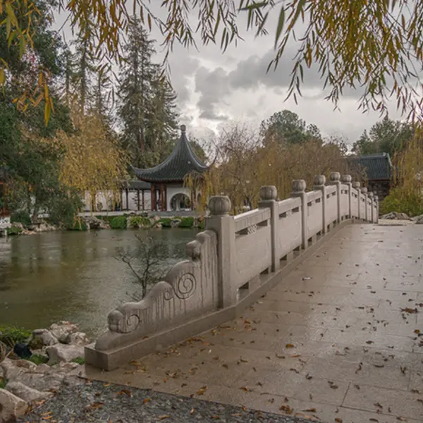 Chinese Garden during a rainstorm