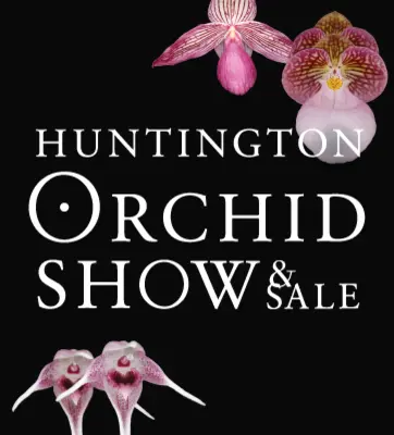 Orchids on a black background with the text "Huntington Orchid Show & Sale".