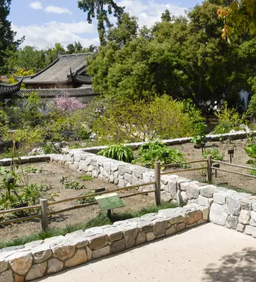Raised beds made from stone in a Chinese style garden.