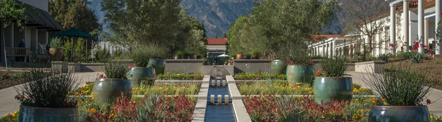 Brody California Garden - water feature