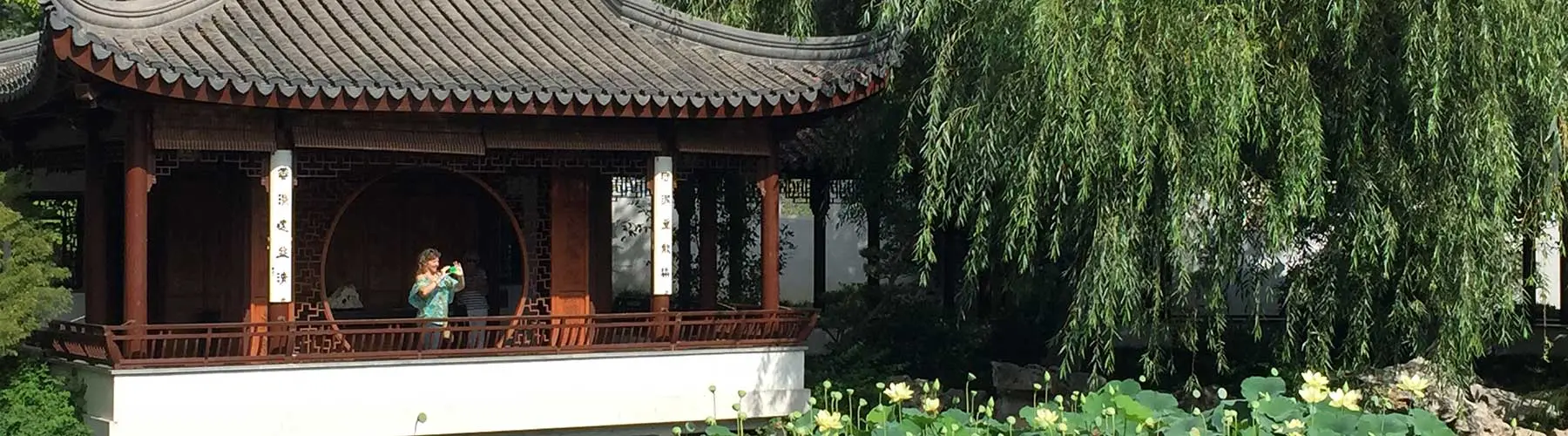 Lady taking picture in the Chinese Garden