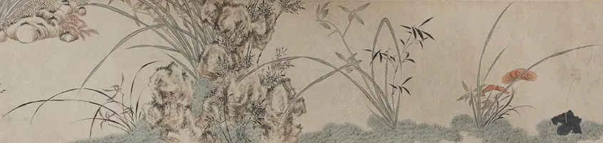 Drawing of orchids, bamboo, fungus, and rocks.