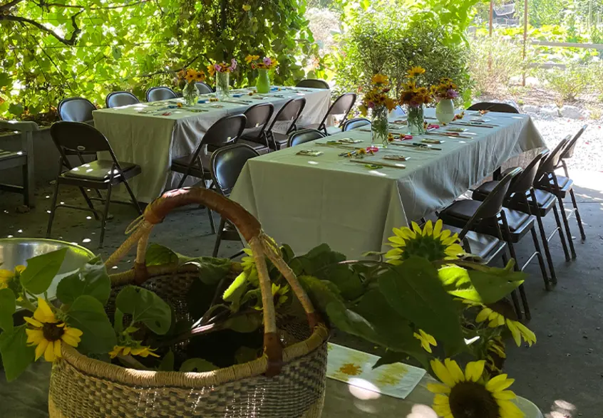 Two long tables with chairs are set up for an outdoor class in a garden, with sunflowers in a basket in the foreground.
