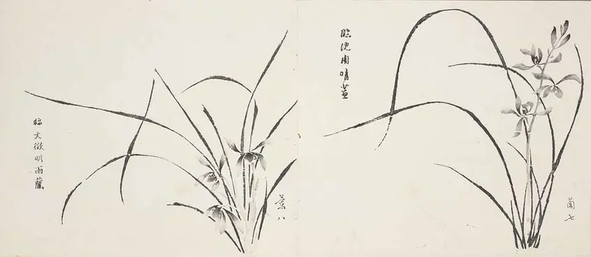 “In the Manner of Wen Zhengming’s Orchids in Rain” (left) and “In the Manner of Shen Zhou’s Orchids in Clear Weather” (right), Orchid 8 and 7, Ten Bamboo Studio Manual of Calligraphy and Painting, Ming dynasty, Chongzhen period to early Qing dynasty, ca. 1633–1703. Compiled and edited by Hu Zhengyan (1584/5–1673/4). Woodblock-printed book mounted as album leaves, ink and colors on paper, 9 7/8 × 11 1/4 in., each sheet. The Huntington Library, Art Collections, and Botanical Gardens.