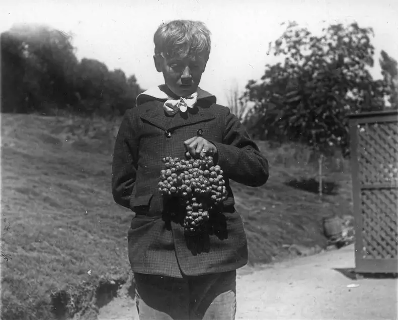 George Patton, Jr., holding vineyard grapes, ca. 1890. The Huntington Library, Art Collections, and Botanical Gardens.
