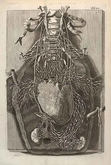 Giovanni Maria Lancisi, De Motu Cordis et Aneurysmatibus (On the Motion of the Heart and On Aneurysms)