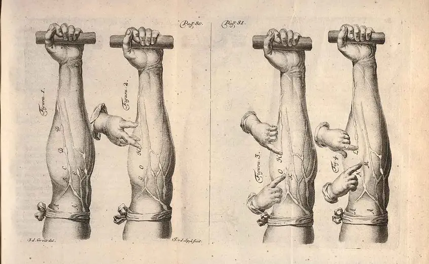 William Harvey, Exercitatio anatomica de Motu Cordis et Sanguinis in Animalibus (An Anatomical Exercise Concerning the Motion of the Heart and Blood in Animals)