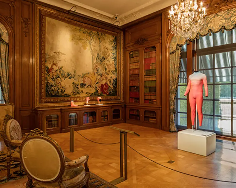 Alex Israel's Self-Portrait (Wetsuit), 2015, among 18th-century French tapestries in the Large Library