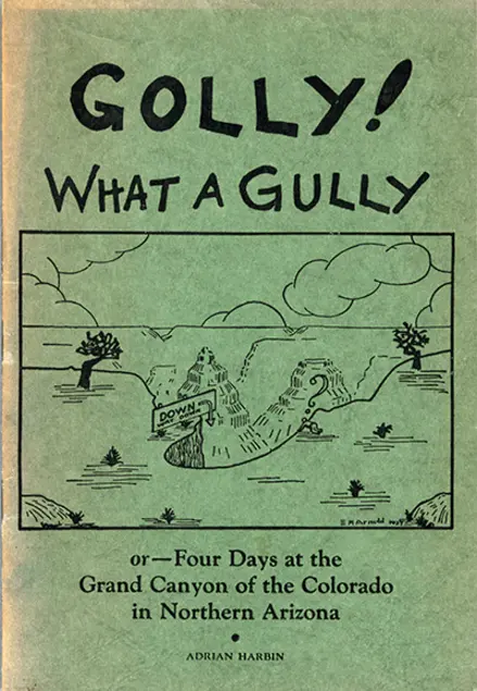 Golly! What a Gully cover