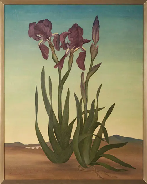 Helen Lundeberg (1908–1999) Irises (The Sentinels), 1936 Oil on canvas, 30 × 25 in.