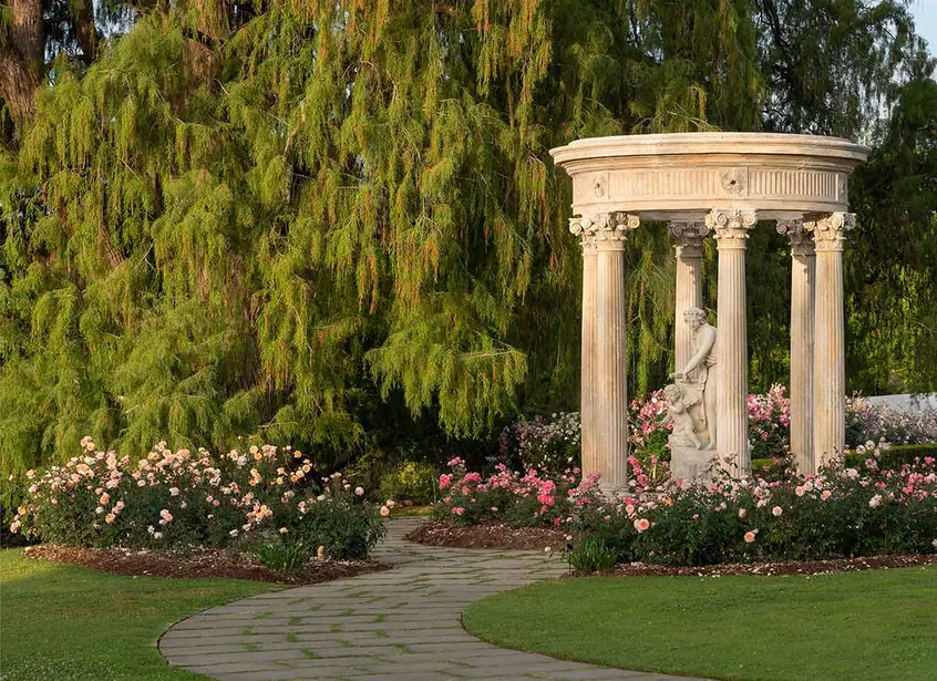 The centerpiece of The Huntington's historic Rose Garden is the 18th-century French stone tempietto encircling a sculpture titled Love, the Captive of Youth. Appropriately, the tempietto is surrounded by a bed of "Passionate Kisses" roses. Photo: Alexander Vertikoff. The Huntington Library, Art Museum, and Botanical Gardens.