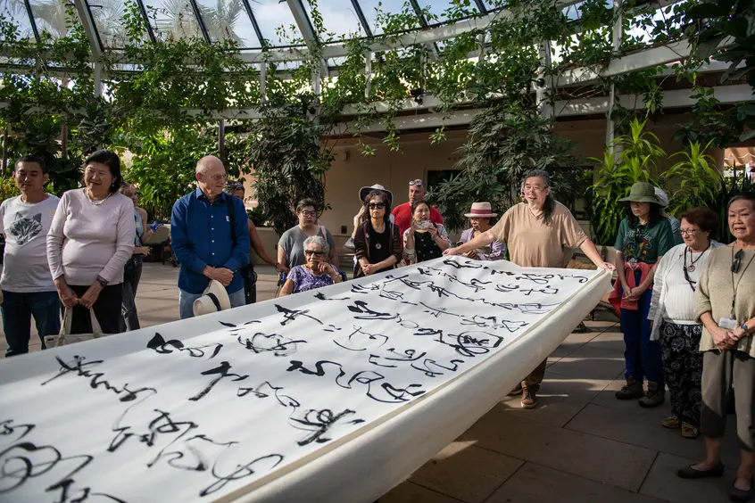 Tang Qingnian displaying the 40-foot scroll with his transcription of the Tang-dynasty poem, “Song of Eight Drinking Immortals,” at a calligraphy demonstration at The Huntington in November 2018. Photo by Jamie Pham. The Huntington Library, Art Collections, and Botanical Gardens