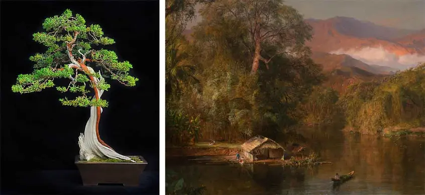 Left: California juniper bonsai (Juniperus californica), styled from plant material approximately 500 years. Photo by Andrew Mitchell. Right: Frederic Edwin Church, Chimborazo, 1864 (detail). The Huntington Library, Art Museum, and Botanical Gardens