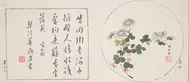 Chinese writing on the left; yellow and white flowers on the right.