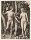 Albrecht Dürer (German, 1471-1528), Adam and Eve, 1504, engraving, Edward W. and Julia B. Bodman Collection.