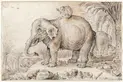 16th century drawing of elephant and monkey by Jan Savery 