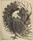 Sue Fuller (1914–2006), Hen, 1945, soft-ground etching and engraving. Huntington Library, Art Collections, and Botanical Gardens. Reproduction courtesy of the estate of the artist and the Susan Teller Gallery, New York City.