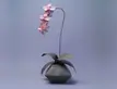Orchid, by Robert J. Lang. 2002.