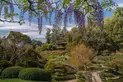 Created in 1912, the Japanese Garden features a small lake spanned by a moon bridge, a traditional house, and trellises of wisteria that bloom in early spring. Photo: Martha Benedict. The Huntington Library, Art Museum, and Botanical Gardens.
