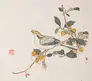 Chinese woodblock print of a bird