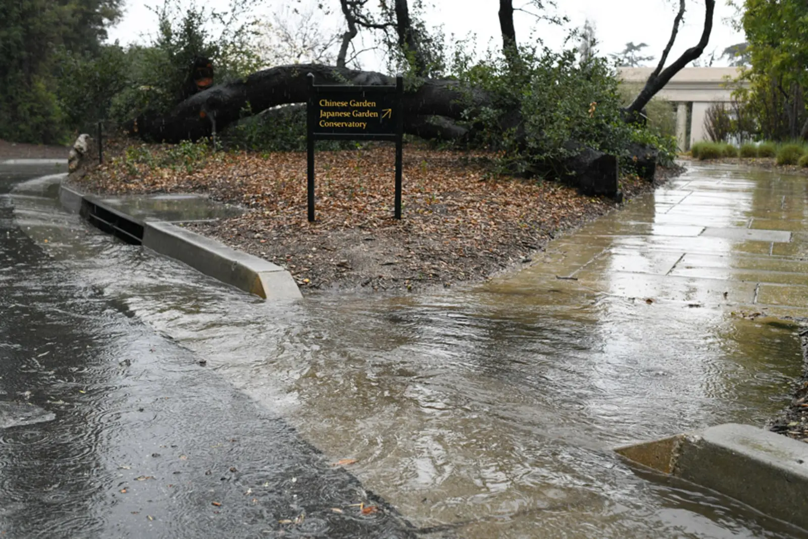 Water pools along the walkway and road near Botanical Circle.