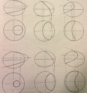Volterra egg diagrams