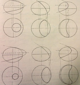 Volterra egg diagrams