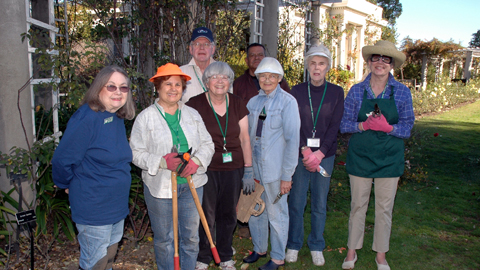 Rose Garden volunteers pause for a quick group portrait before getting back to business Rose Garden volunteers pause for a quick group portrait before getting back to business