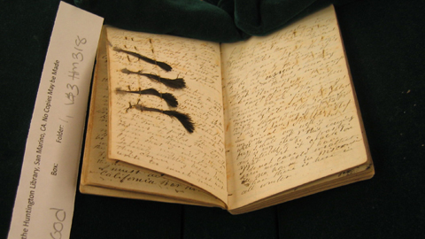 Keyes1Sm Feathers from a blue quail pressed in a book