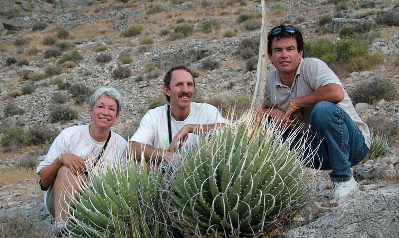 forward-1b Karen Zimmerman, desert collections propagator, and John Trager, director of ISI, pose with agave specialist Kelly Griffin and the Agave utahensis var. eborispina. Seeds were collected from this specimen in the Nopah Mountains, near the California-Nevada border and made available in the 2009 catalog of International Succulent Introductions. Photo by Kelly Griffin.