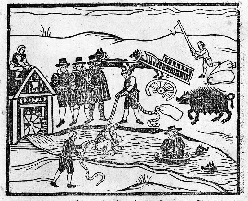 witches
