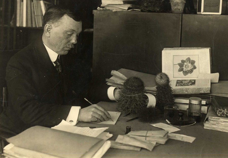 J. N. Rose at his desk, date unknown. Courtesy of the Robert T. Ramsay Jr. Archival Center, Wabash College, Crawfordsville, Ind.
