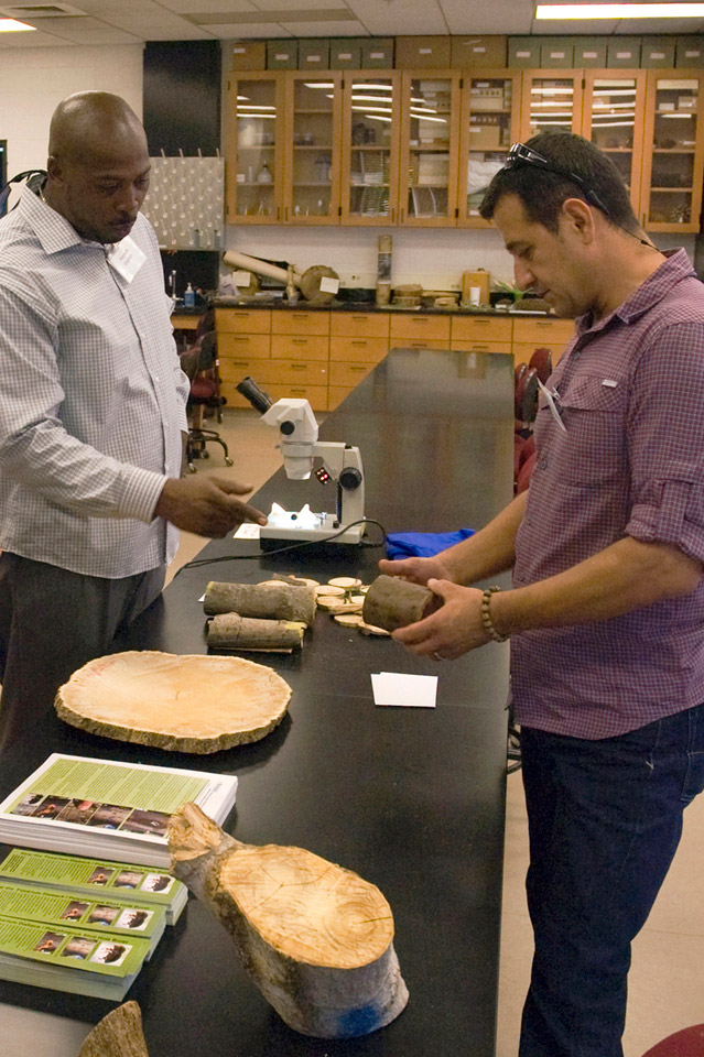 Akif Eskalen, a plant pathologist at the University of California, Riverside (right), and Kenneth Graham, forestry superintendent with the City of Pasadena