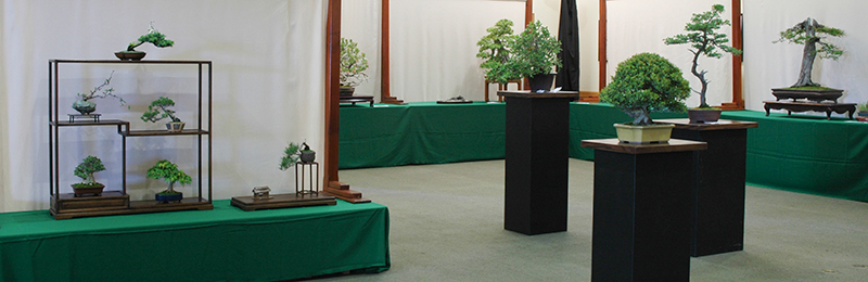 Dozens of bonsai specimens will be on display this weekend as the California Bonsai Society presents its 57th annual Bonsai Show at The Huntington.