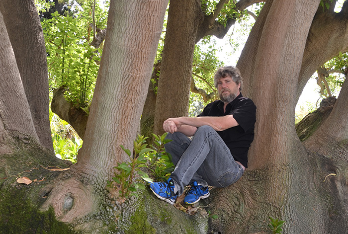 ˇWith more than 3,100 accessioned trees in the Botanical collections, picking out a single favorite is no easy task. The Huntington's resident "tree guy," Tim Thibault, shared some of his own top picks with Verso. Heading up the list: The ombú tree (Phytolacca dioica), an Argentinean native planted by the Lily Ponds in 1912. Photos by Lisa Blackburn.