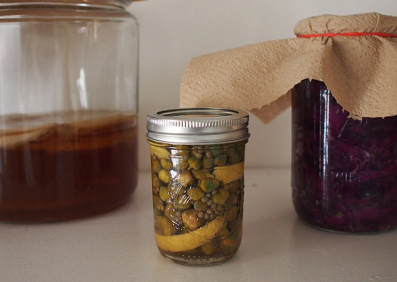 After six days of brining, the capers (center, flanked by jars of homemade kombucha and sauerkraut) are ready to be enjoyed. Cocktail, anyone? Photo by Delia Hitz.