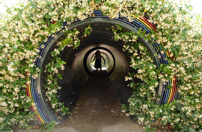 Inside the Prism Tunnel, children can see how sunlight breaks into colored arcs and soft halos.