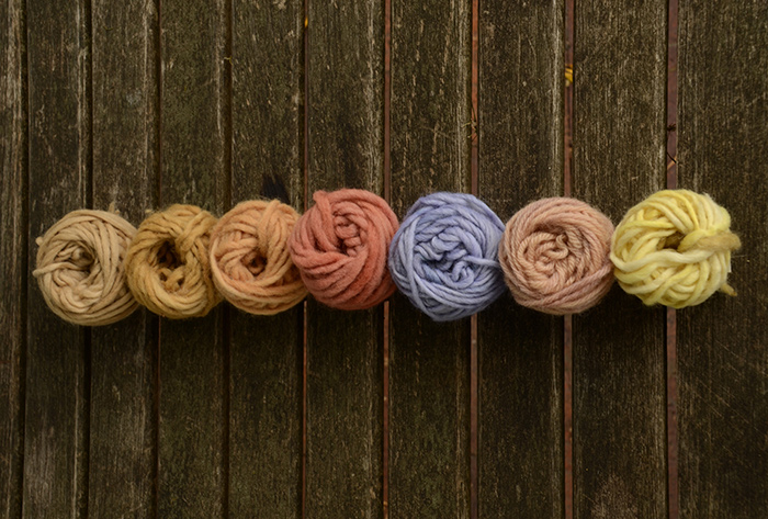 In a recent workshop for docents, yarn was dyed with natural pigments extracted from plants in the Herb Garden. (From left: basil flowers, calendulas, onion skins, madder roots, anemone petals, dahlias, and oxalis flowers.) The dyeing session was part of the docents’ preparation for a Fiber Arts Day presentation that will be held in the garden on Saturday, June 21. Photos by Lisa Blackburn.