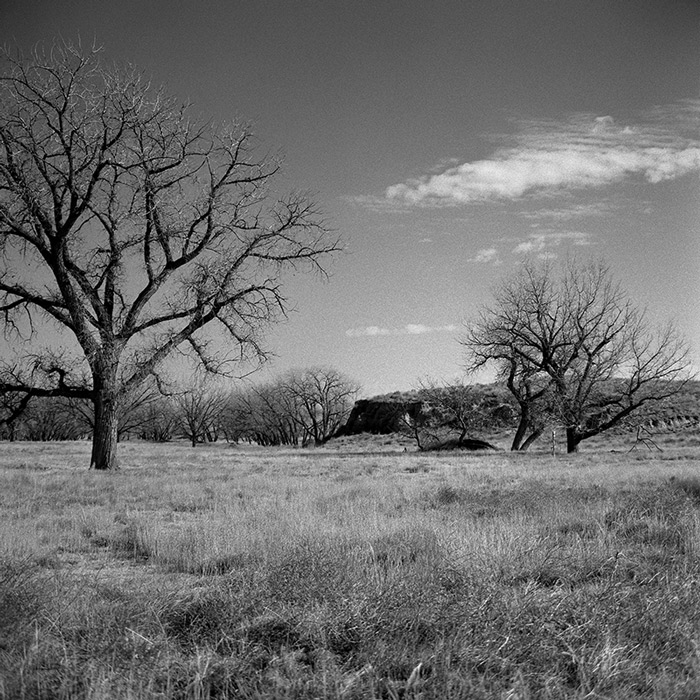 A view of the Sand Creek Massacre site. Photo by Tom Carr.