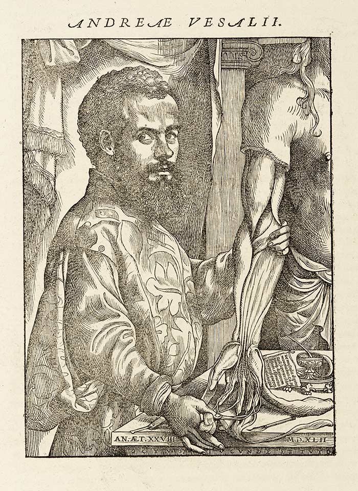 Only 28 when he published De humani corporis fabrica in 1543, Vesalius is considered the founder of modern human anatomy. The Huntington Library, Art Collections, and Botanical Gardens.