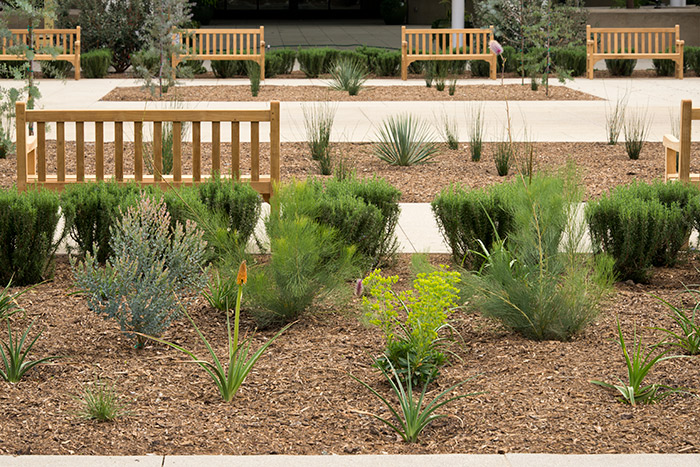 Almost all of the new buildings have a corresponding outdoor space, and they line a central garden area with “hedge rooms” furnished with benches.