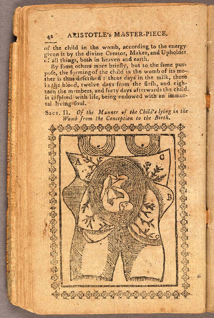 Aristotle’s Masterpiece provided ordinary readers access to images such as this one, which depicts the position of a baby in the womb, as well as access to practical instructions about maintaining health during pregnancy. The Huntington Library, Art Collections, and Botanical Gardens.