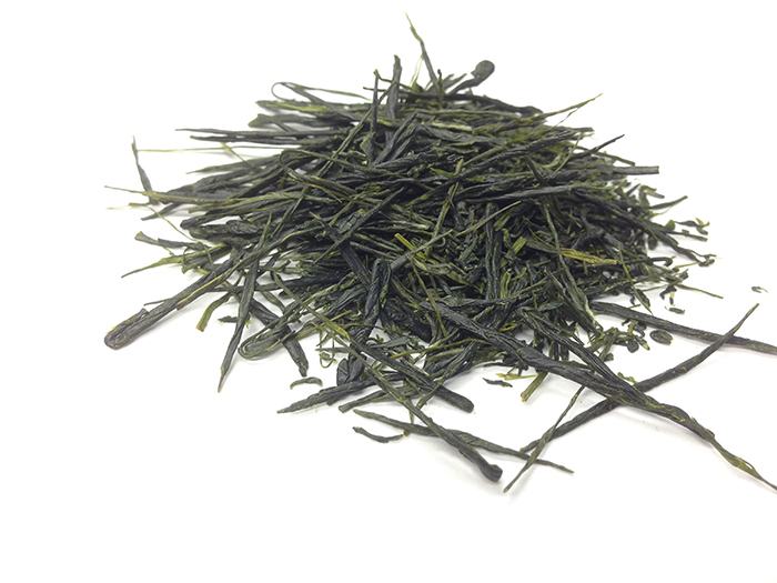 Both sencha (above) and powdered matcha tea come from the same tea plant, Camellia senensis.