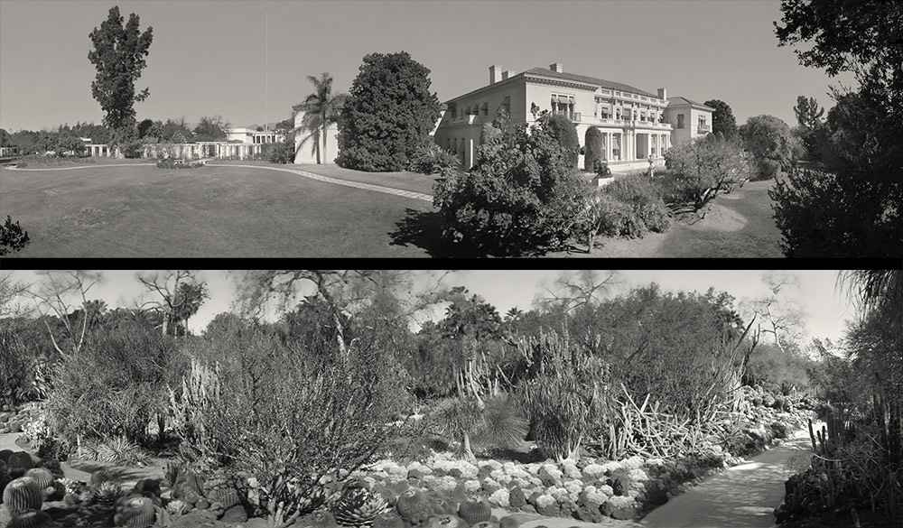 Top: Huntington Art Gallery, John C. Lewis, 2015. Bottom: Desert Garden, John C. Lewis, 2015.