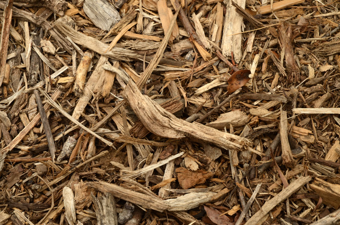 An ideal mulch is a mixture of woods in different sizes and textures that will break down at an uneven rate. Photo by Lisa Blackburn.